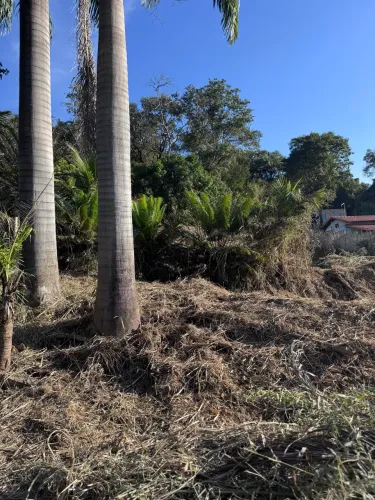 Lote no Gentileza em Betim