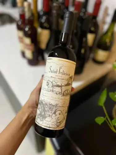 Vinhos argentinos dv catena - lalinda - rutini - saint felicien e outros
