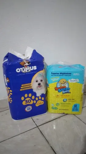 Tapetes Higiênicos Para Pets