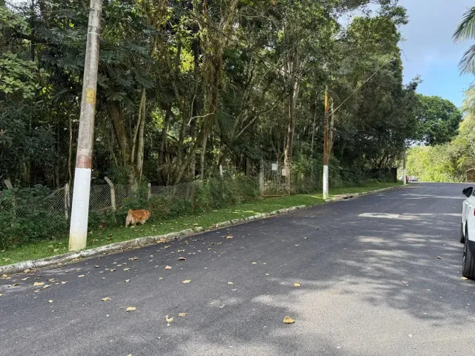 Lote/Terreno para venda tem 3000 metros quadrados em Dos Finco - São Bernardo do Campo - S