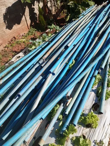Irrigação está em Jaraguá Goiás Olinda 2