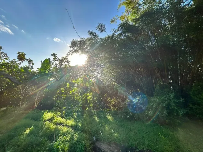 Terreno loteamento com casas de alto padrão 447m²