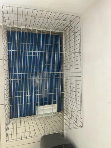 Gaiola porquinho da índia ou hamster
