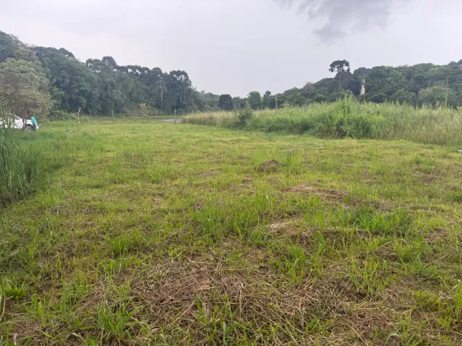 Terreno 732 m2 - São Caetano - Balsa nova Pr