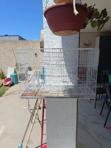 Gaiola Calopsita ou Periquito 68x30x45 R$150,00