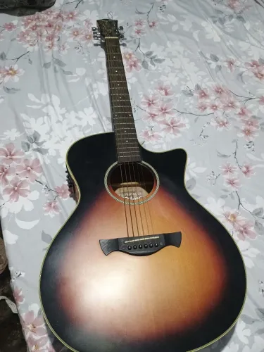 Violão Tagima tw29
