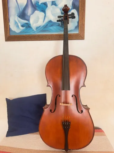 Violoncelo Eagle CE300 - Ajustado por Luthier