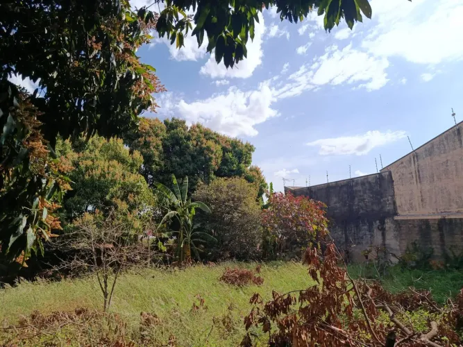 Terreno à venda em Martinópolis/SP