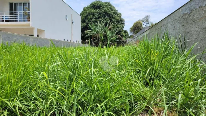 Terreno à venda, 280 m² por R$ 355.000,00 - Vargem Grande - Rio de Janeiro/RJ