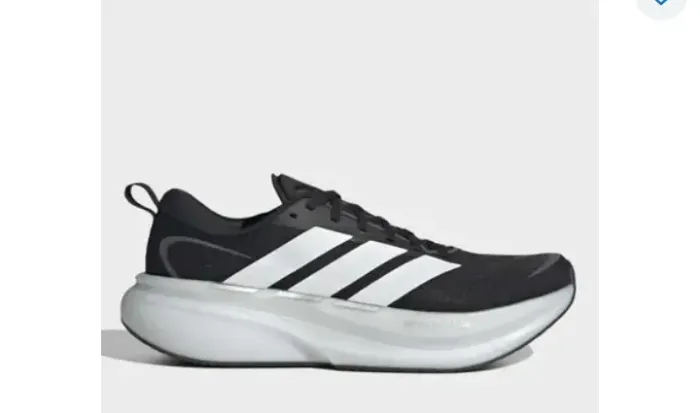 Tenis