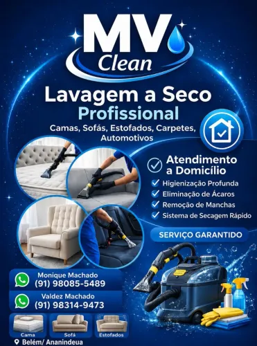 Lavagem a seco profissional/ higienizacao