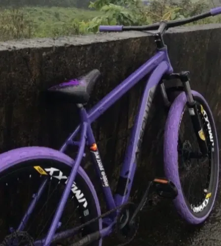 Vendo bike