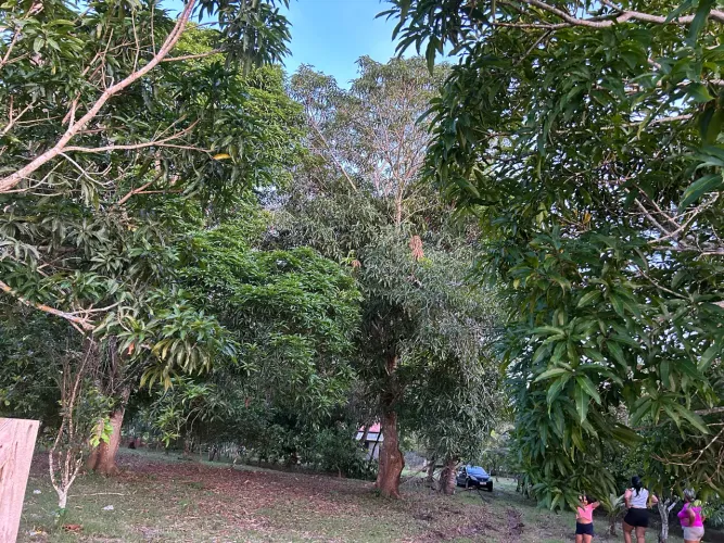 Venda ou troca