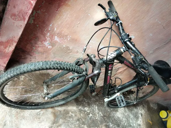 Bicicleta 