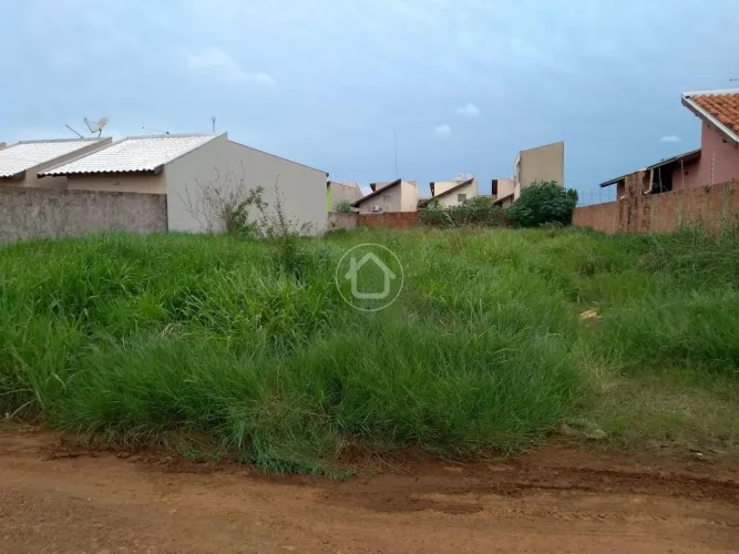 TERRENO MURADO EM U COM ASFALTO
