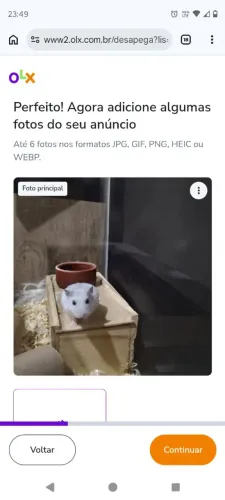 Doa-se hamsters