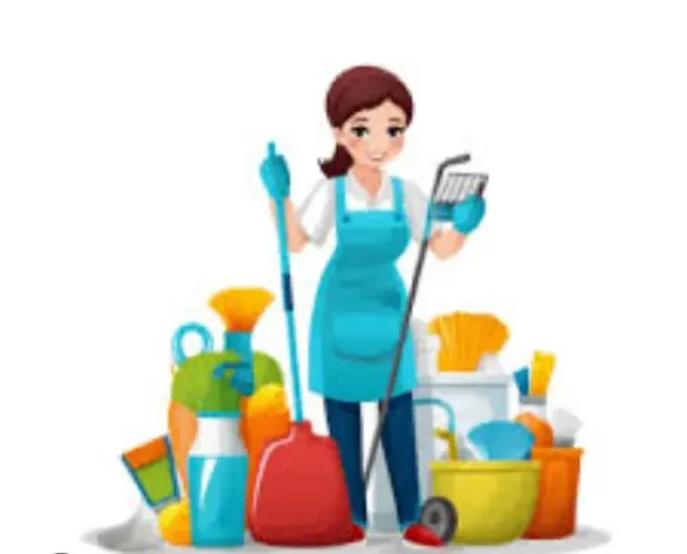 Organizar limpeza geral