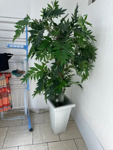 Planta artificial