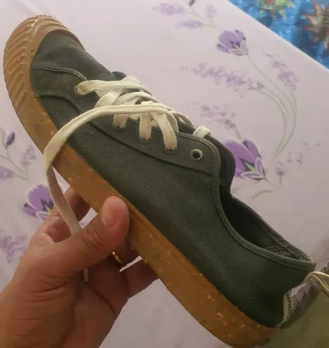 Sapatenis havaianas