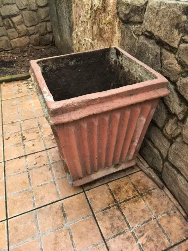 Vaso planta grande