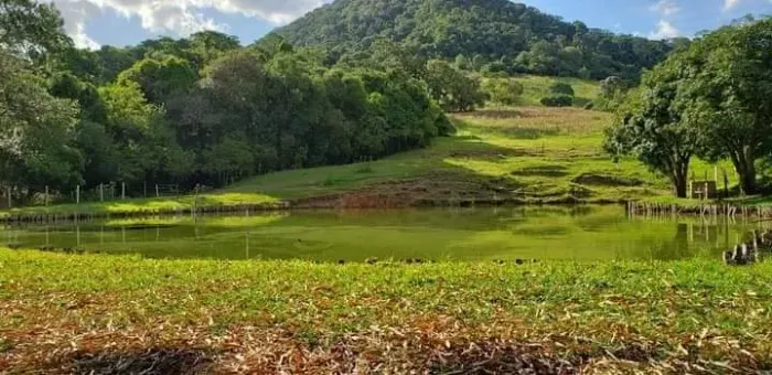 Sítio 10 Alqueires, Rica em Água com Duas Represas com Peixes, Casa Sede com Suíte, Casa d