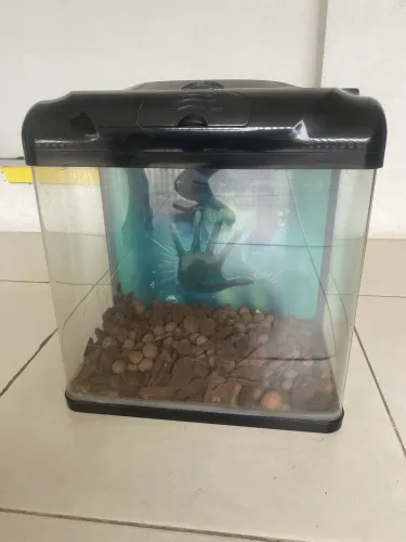 Aquário acrílico Boyu