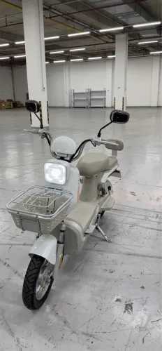 Moto elétrica