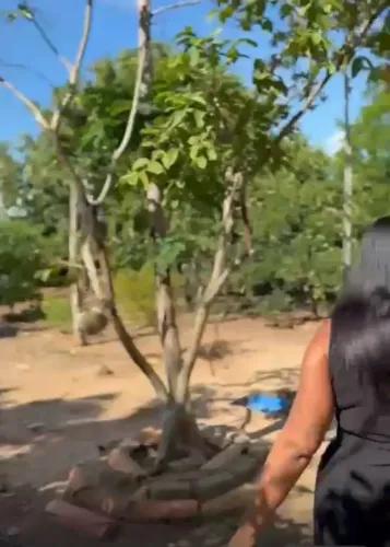 VENDO CHACARA A 6km DE SERRINHO!