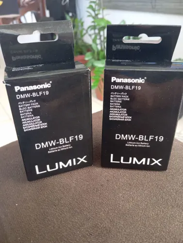 Bateria Lumix DMW-BLF19