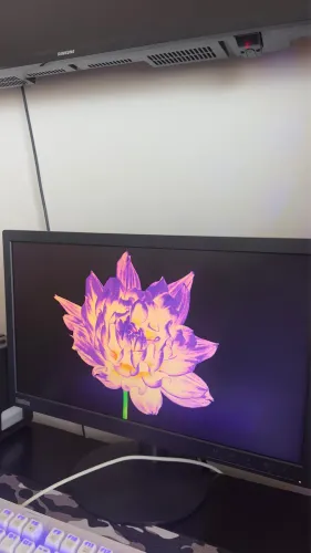 Monitor Lenovo ThinkVision 75Hz 19.5?
