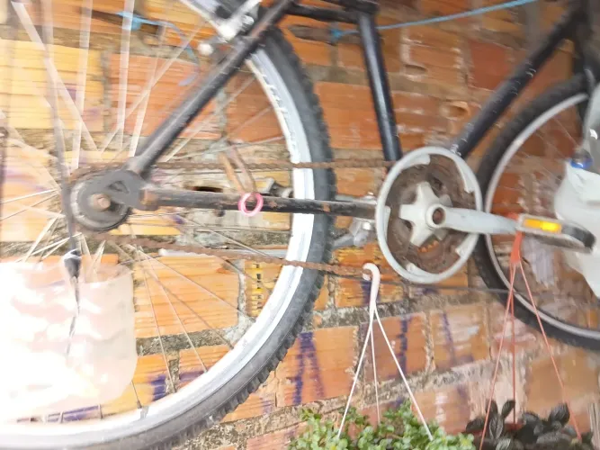 Bicicleta