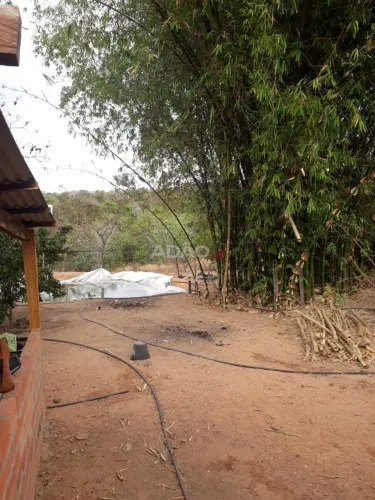 Chácara em Palestina de Goiás