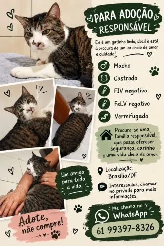 Doação