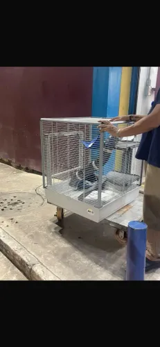Casa pra porquinho da índia