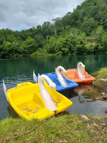 Pedalinho