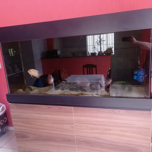 Aquário 600 litros