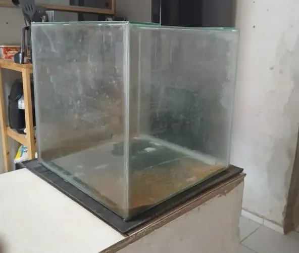 Aquário cubo
