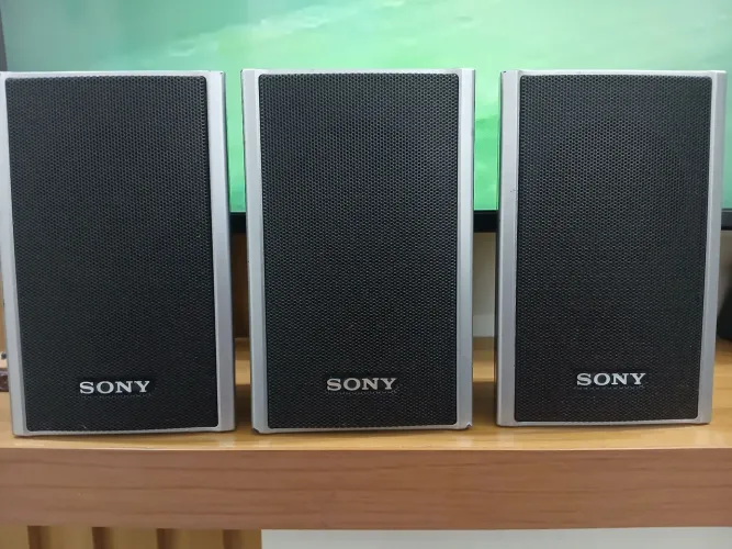 Caixa sony SS TS80