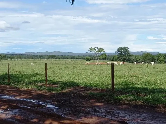 Fazenda de 1.236 Hectares - Unaí - MG - R$ 60.000.000,00