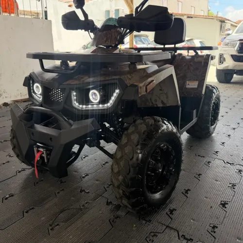 Quadriciclo Shineray ATV 200 2025