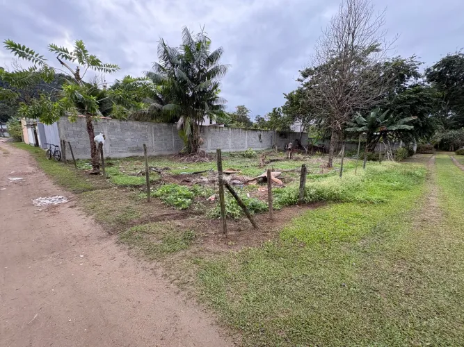 Terreno plano sertão do taquari Paraty rj