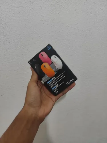 Mouse r7