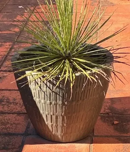 Par de vasos de jardim em cimento decorado