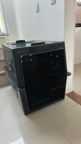 Caixa para transportar pets excelente estado