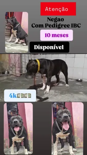 Disponível 