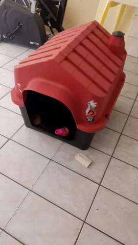 Casinha de cachorro número 6
