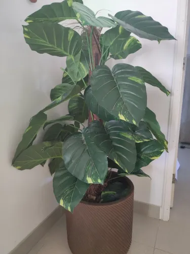 Planta artificial