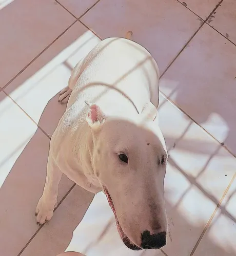 Doação