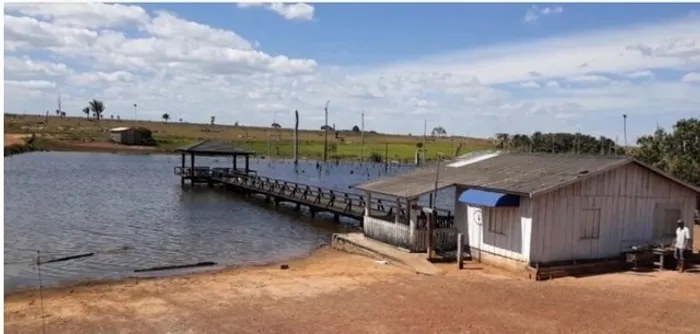 Fazenda de 2.000 Alq em Juara-MT
