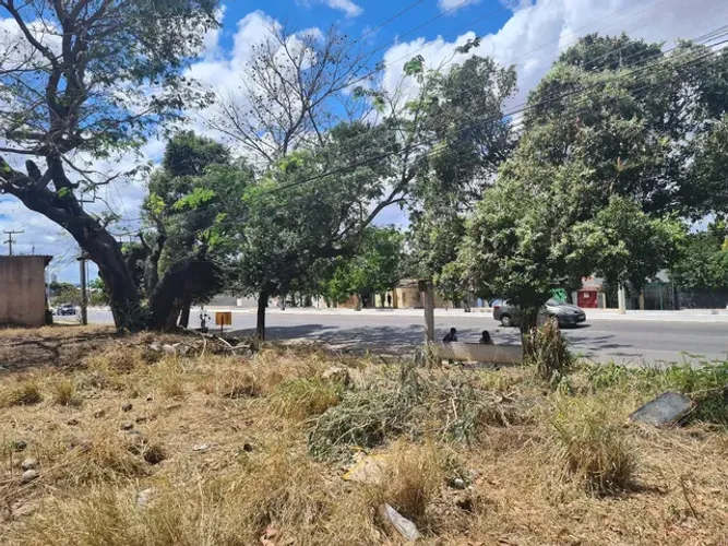Vendo Terreno na AV Leão Sampaio!